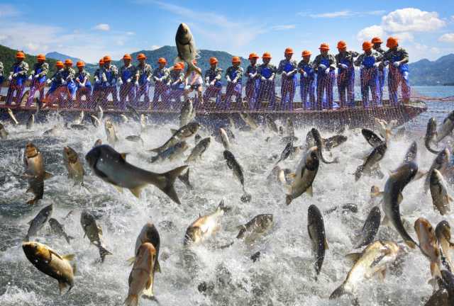 碧水映青山，深绿促共富 ——淳安县“绿水青山就是金山银山”实践路径探索