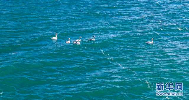 【“飞阅”中国】冬格措纳湖冬景 空灵幽远如梦境 【“飞阅”中国】冬格措纳湖冬景 空灵幽远如梦境