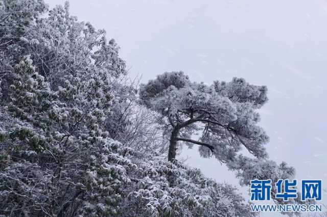 【“飞阅”中国】沉浸式赏雪 江西武功山初雪如约而至 【“飞阅”中国】沉浸式赏雪 江西武功山初雪如约而至