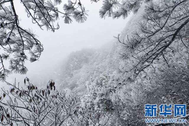 【“飞阅”中国】沉浸式赏雪 江西武功山初雪如约而至 【“飞阅”中国】沉浸式赏雪 江西武功山初雪如约而至
