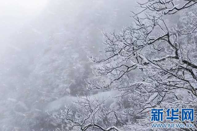 【“飞阅”中国】沉浸式赏雪 江西武功山初雪如约而至 【“飞阅”中国】沉浸式赏雪 江西武功山初雪如约而至