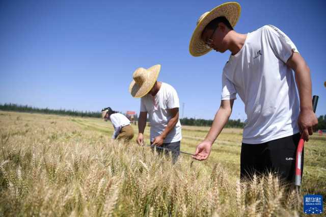 新时代新征程新伟业｜大河上下满目新——贯彻落实党的二十大精神加强黄河流域生态保护观察