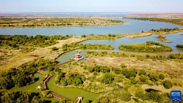 新时代新征程新伟业｜大河上下满目新——贯彻落实党的二十大精神加强黄河流域生态保护观察