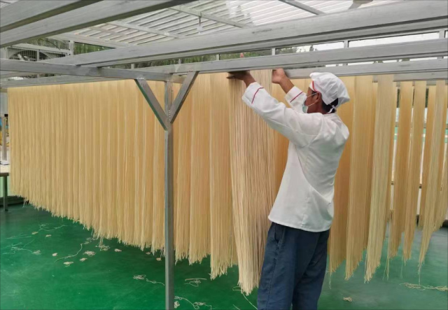 乡村振兴|黄河岸边新农事 乡村振兴|黄河岸边新农事