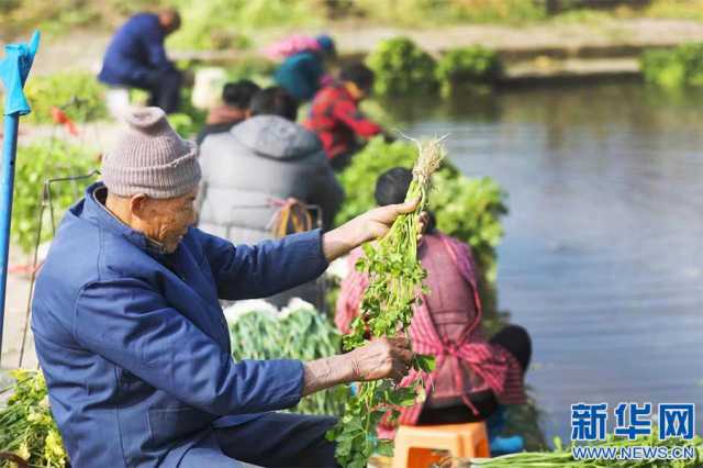 希望的田野丨江西宜春“绿意盎然” 种出好光景