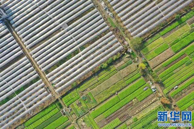 希望的田野丨江西宜春“绿意盎然” 种出好光景