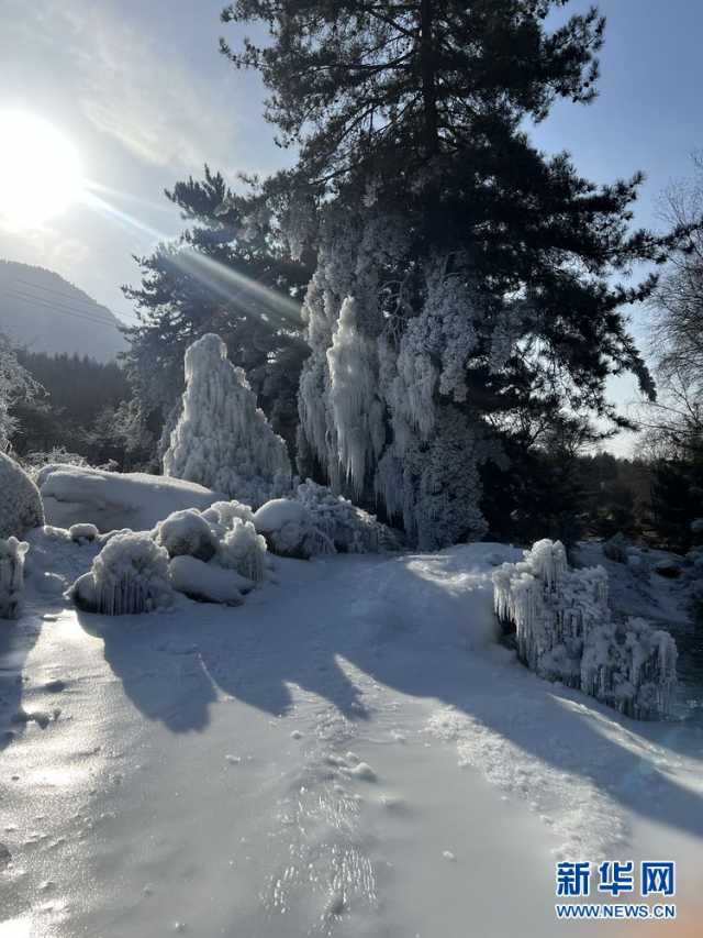 冬日,来赴一场视觉的冰雪盛宴 冬日,来赴一场视觉的冰雪盛宴