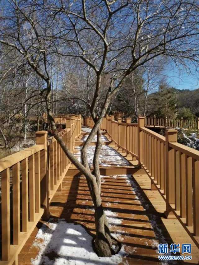 冬日,来赴一场视觉的冰雪盛宴 冬日,来赴一场视觉的冰雪盛宴