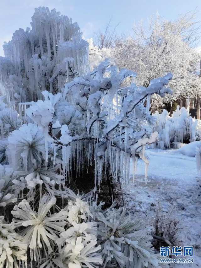 冬日,来赴一场视觉的冰雪盛宴 冬日,来赴一场视觉的冰雪盛宴