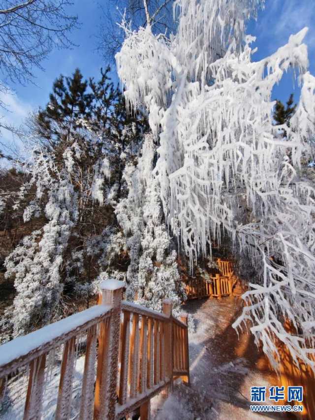 冬日,来赴一场视觉的冰雪盛宴 冬日,来赴一场视觉的冰雪盛宴