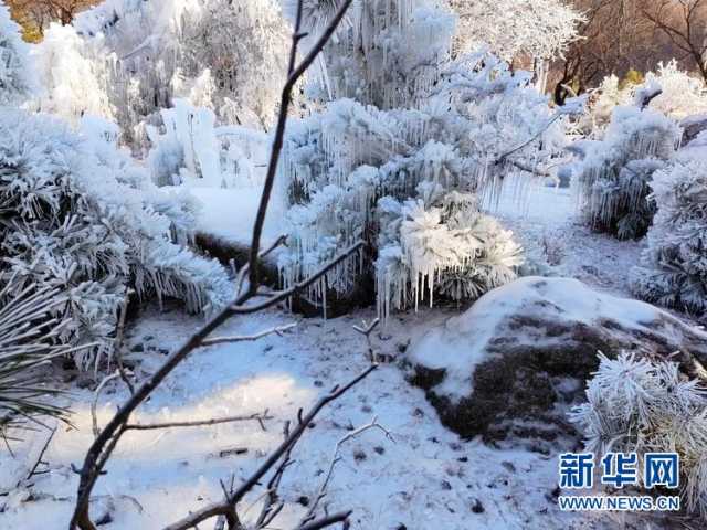 冬日,来赴一场视觉的冰雪盛宴 冬日,来赴一场视觉的冰雪盛宴