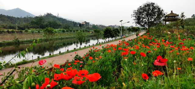 重庆铜梁:优美生态本底中发动“绿色引擎” 重庆铜梁:优美生态本底中发动“绿色引擎”