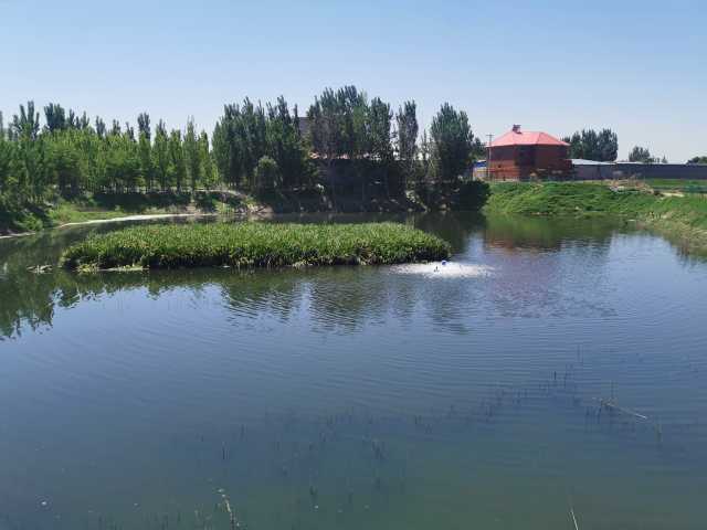 蠡县分类施策治理农村黑臭水体,17个点位已完成治理 蠡县分类施策治理农村黑臭水体,17个点位已完成治理