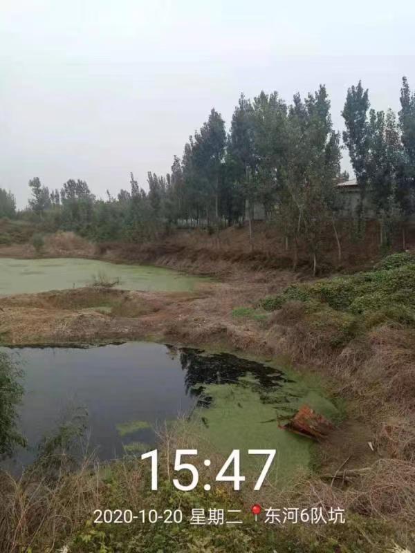 蠡县分类施策治理农村黑臭水体,17个点位已完成治理 蠡县分类施策治理农村黑臭水体,17个点位已完成治理
