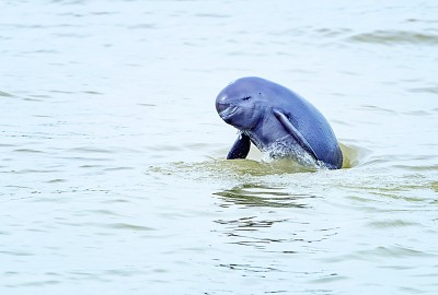 南京:长江之畔绘和美画卷 南京:长江之畔绘和美画卷