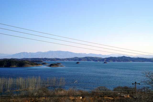 首部《密云水库鸟类图册》出炉！涉及228种鸟类