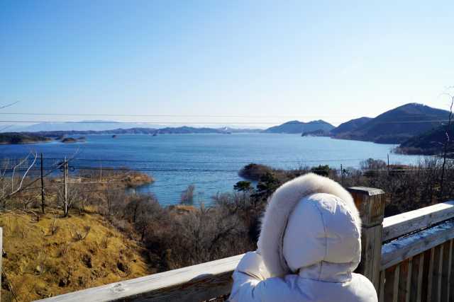 首部《密云水库鸟类图册》出炉！涉及228种鸟类