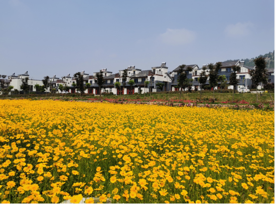 曲阜获省级“绿水青山就是金山银山”实践创新基地称号 曲阜获省级“绿水青山就是金山银山”实践创新基地称号